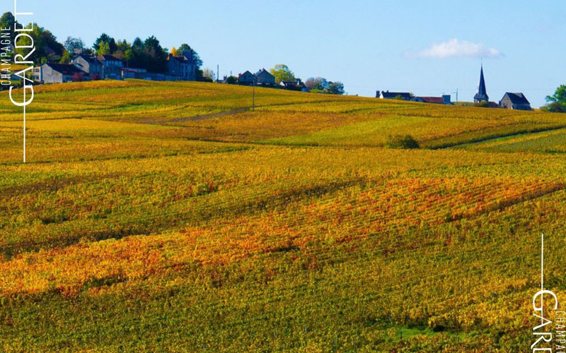 Parcours des Vignobles