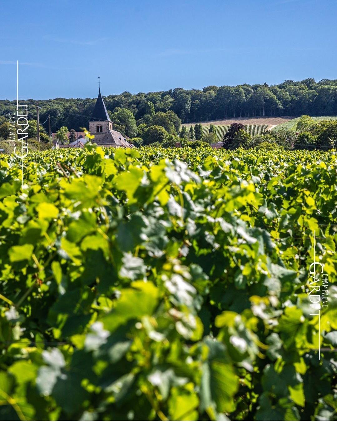 Champagner Lieferung Gardet – Schneller Versand für B2B-Partner