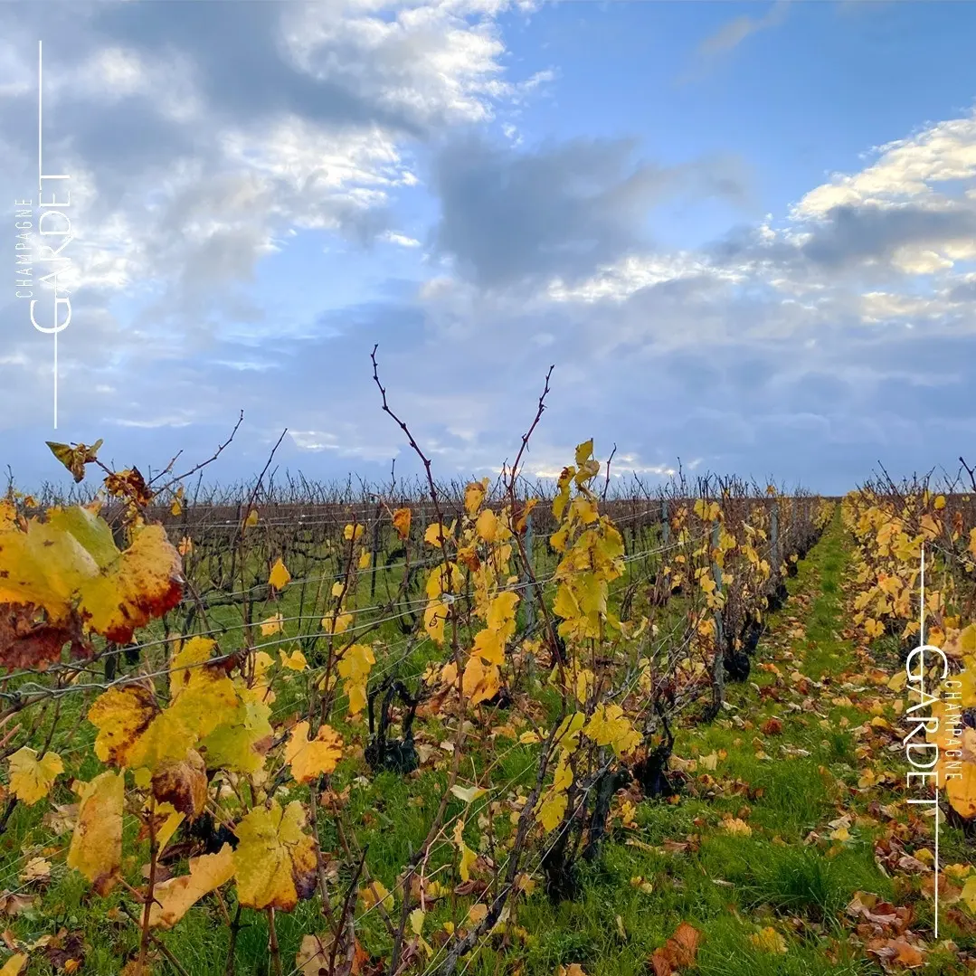 Messe-Stand Champagner Gardet B2B Hamburg