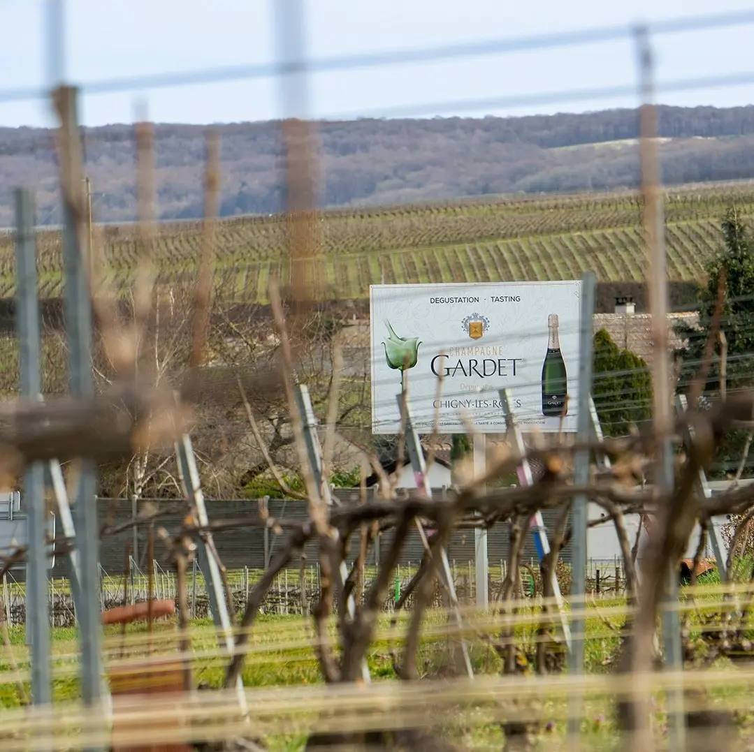 Palettenlieferung Champagner Gardet B2B Hamburg