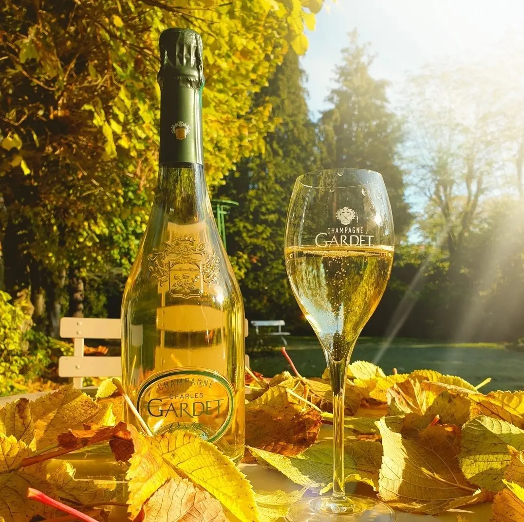 Vertragspartner Händeschütteln Champagner Gardet B2B Hamburg