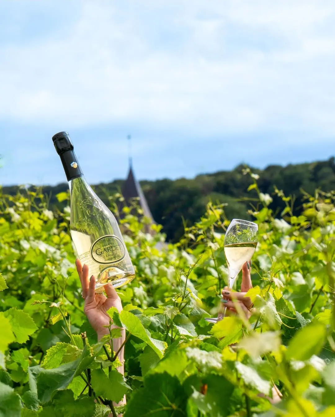 Austern und Champagner Gardet im Hamburger Bistro
