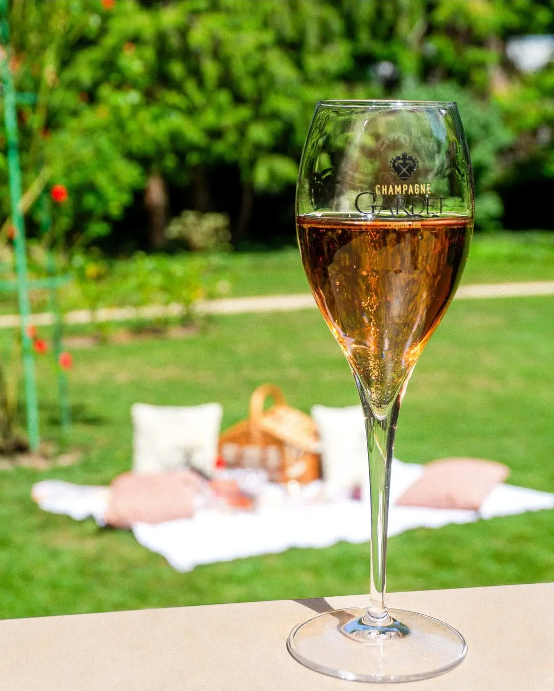 Käseplatte mit Champagner Gardet im Hamburger Bistro