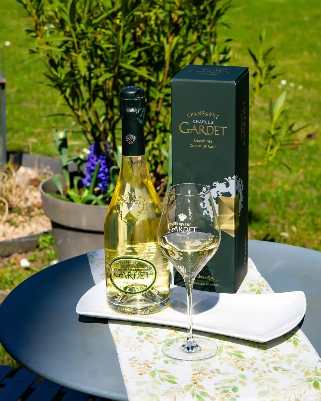 Lachs-Tartare mit Champagner Gardet im Hamburger Bistro