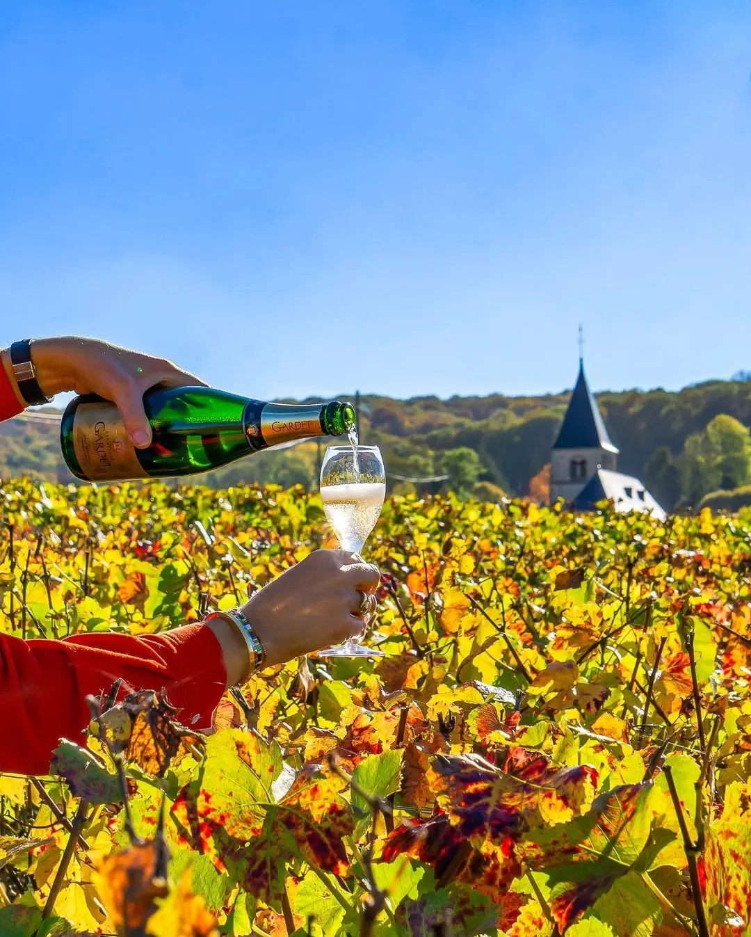 Champagner Gardet Flaschen an der Bar-Theke Hamburg