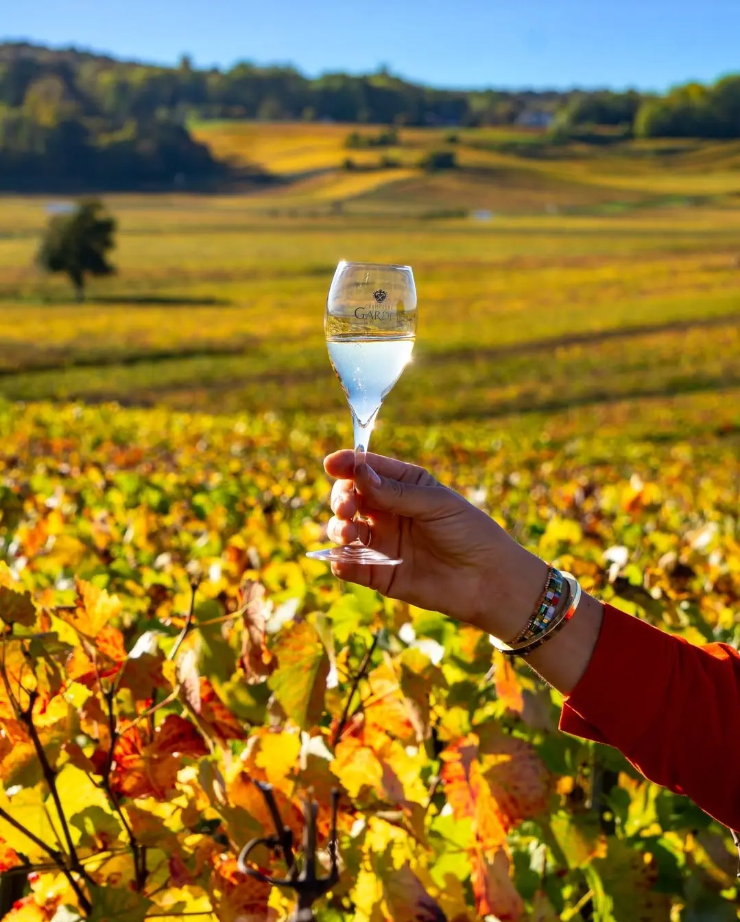 Champagner Gardet auf Dachterrasse Cocktailbar Hamburg Skyline