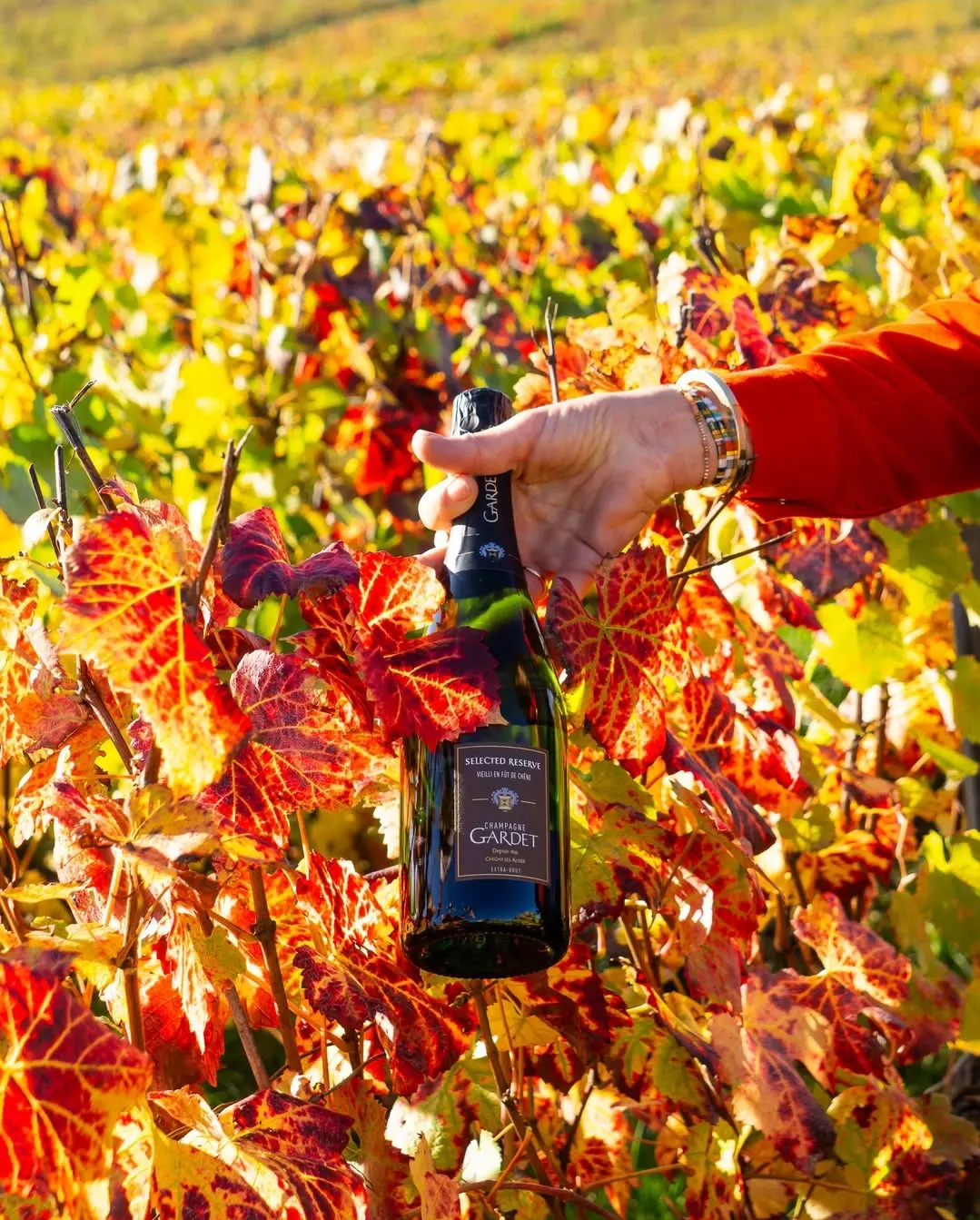 Happy Hour Champagner Gardet Angebot Hamburger Cocktailbar