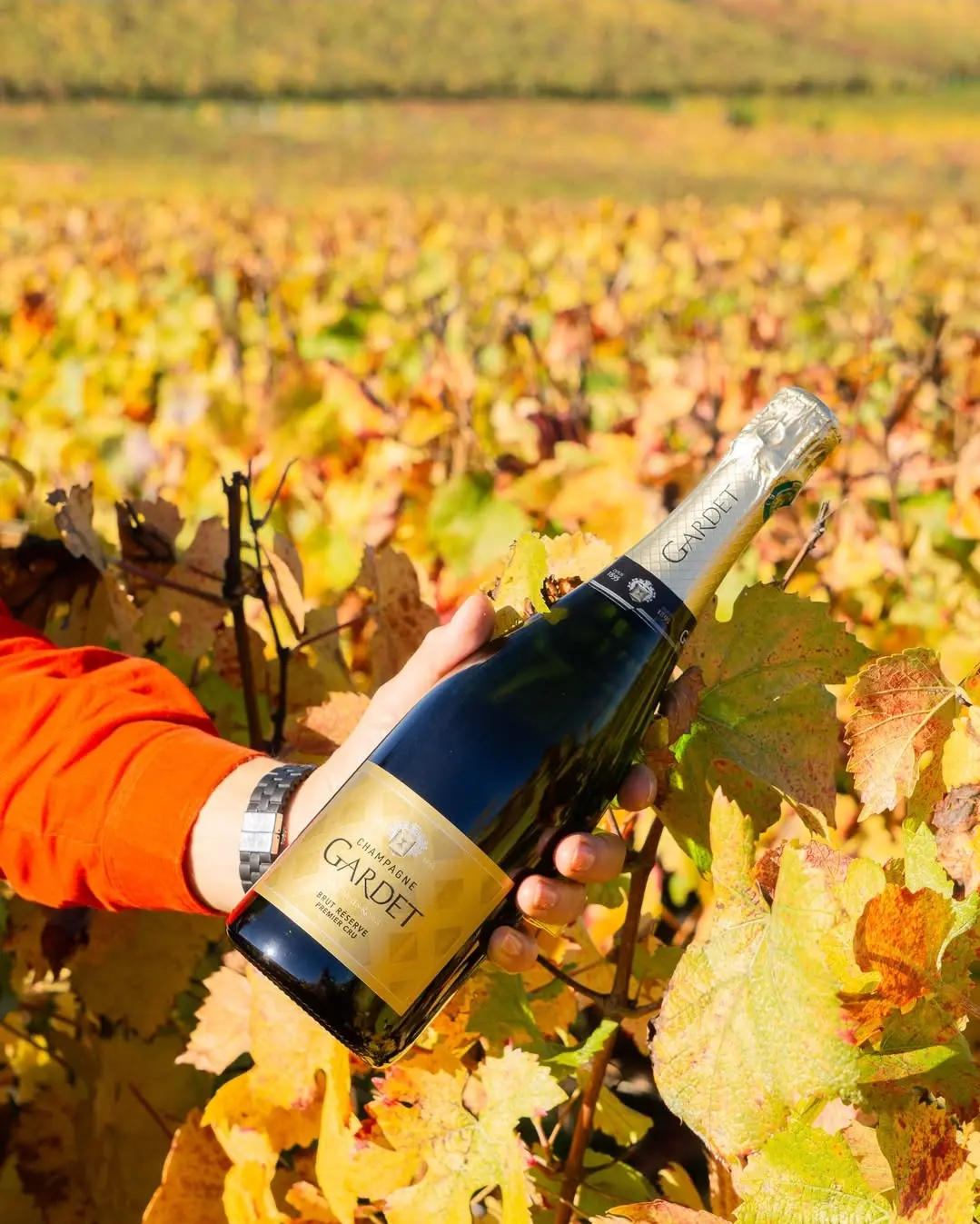 Kir Royal mit Champagner Gardet in Hamburger Cocktailbar