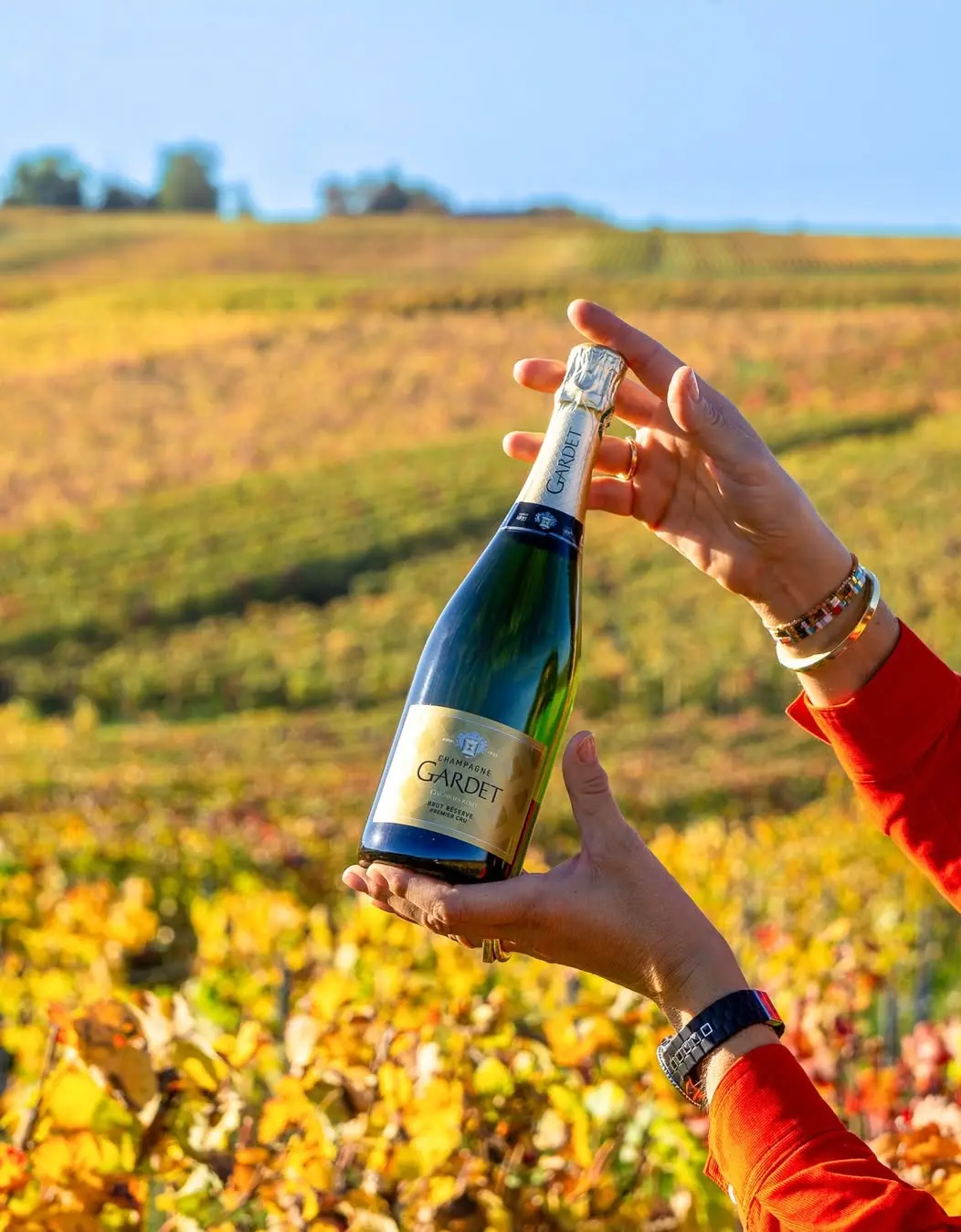 Magnum Champagner Gardet Service in exklusiver Hamburger Bar