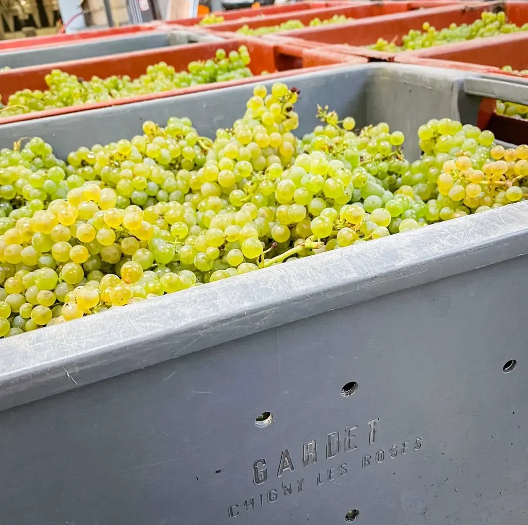 Brautjungfern Toast mit Champagner Gardet Rosé Hamburg
