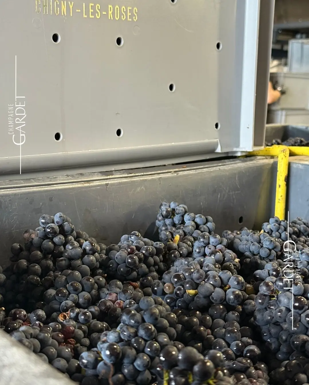 Craft Champagner Gardet am Zapfhahn im Hamburger Pub