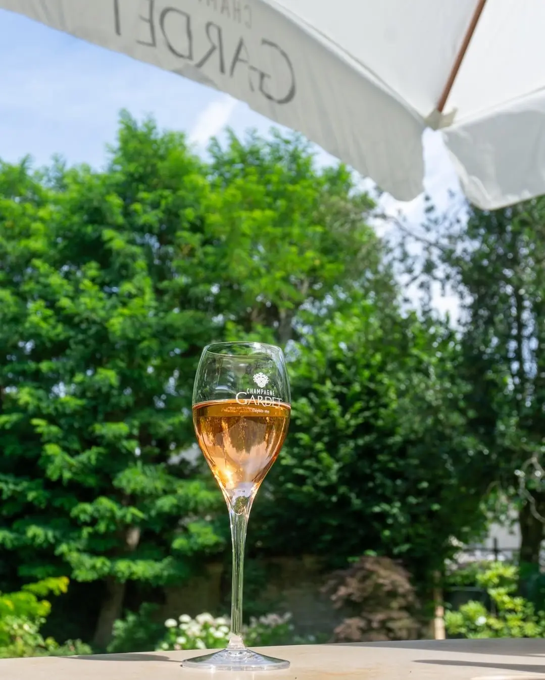 Elbe-Panorama-Restaurant mit Champagner Gardet Hamburg