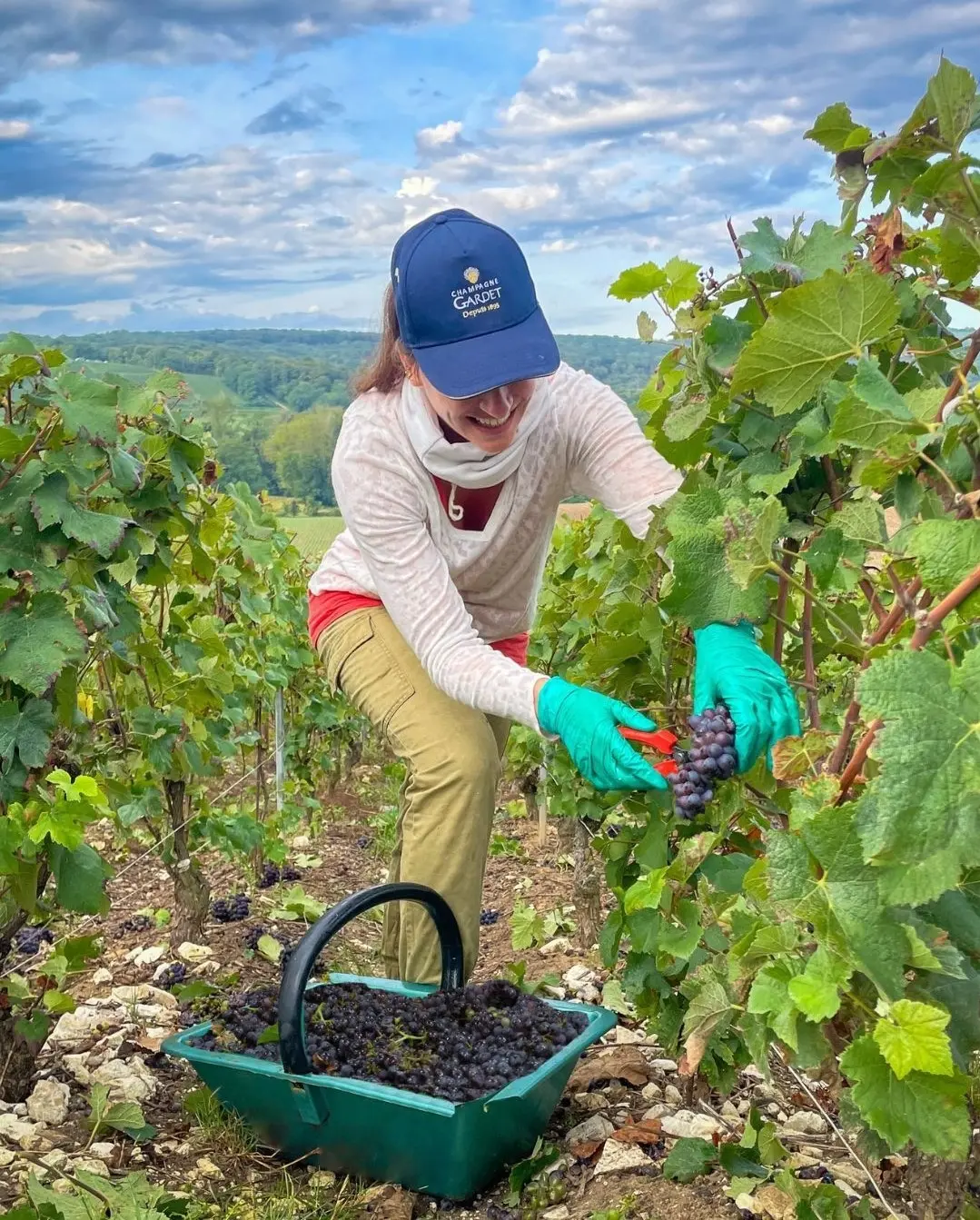 Dinner mit Hafenblick und Champagner Gardet Hamburg Restaurant