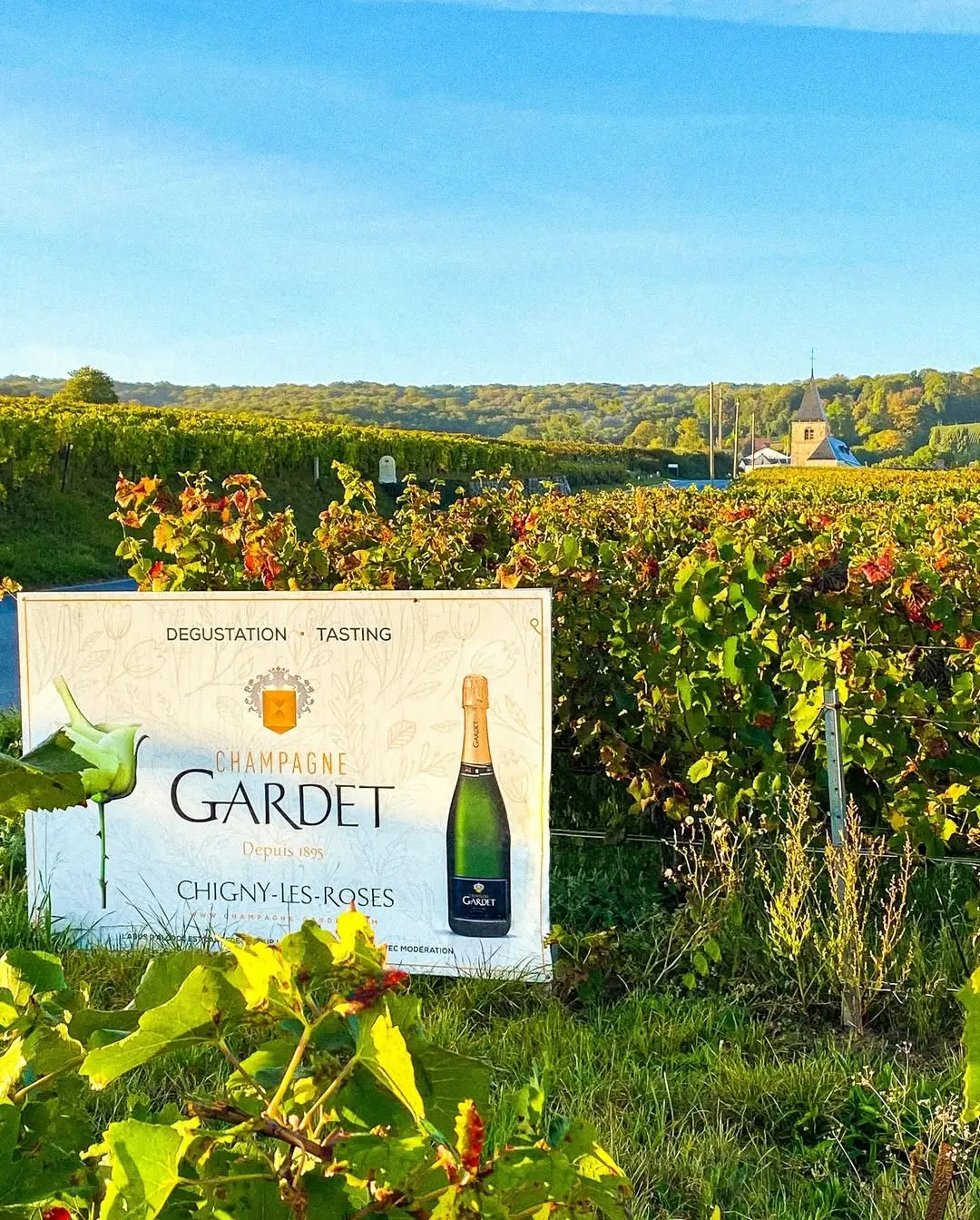 Sommelier Weinbegleitung Champagner Gardet im Hamburger Restaurant