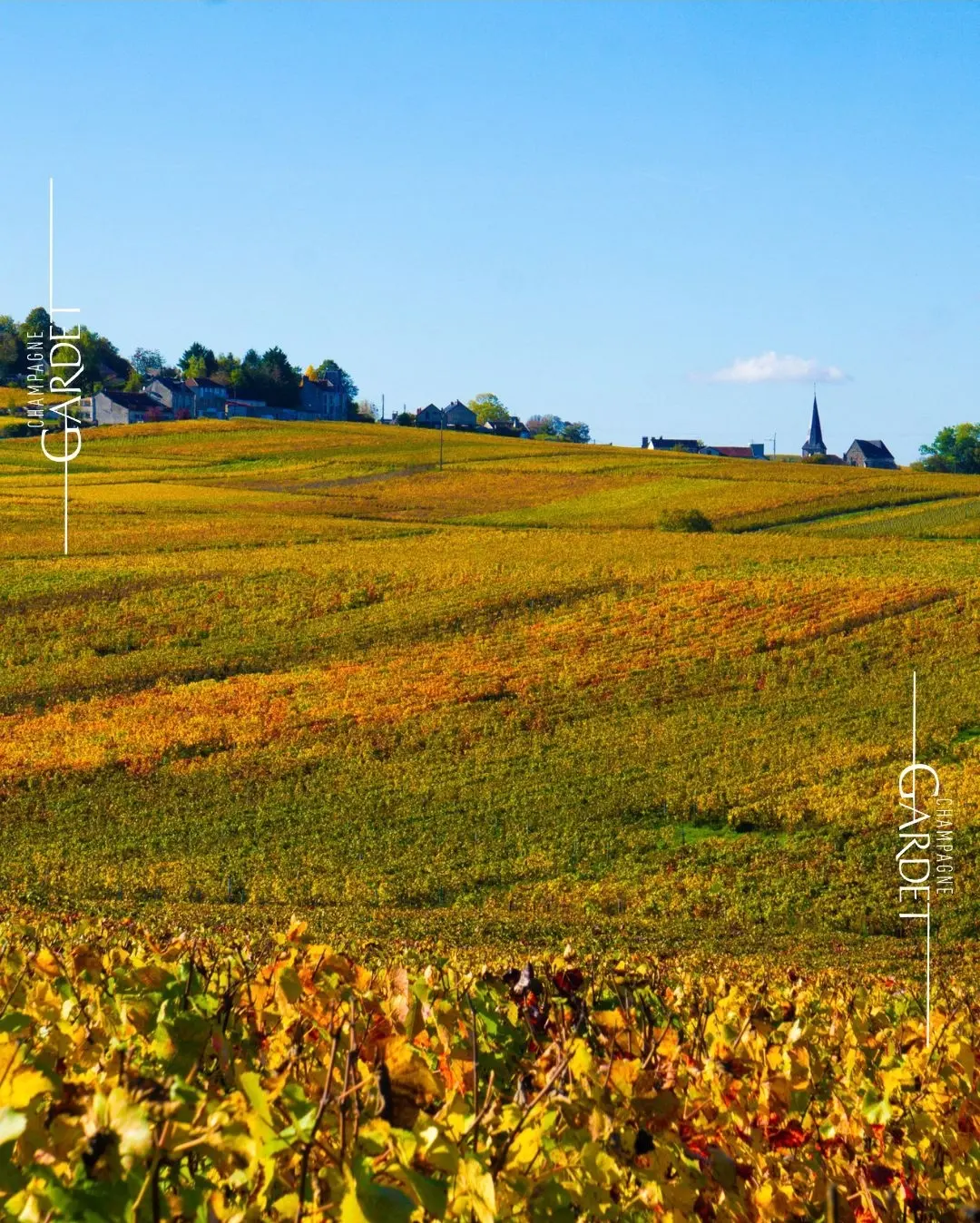 Valentinstag-Menü mit Champagner Gardet Rosé Hamburg Restaurant