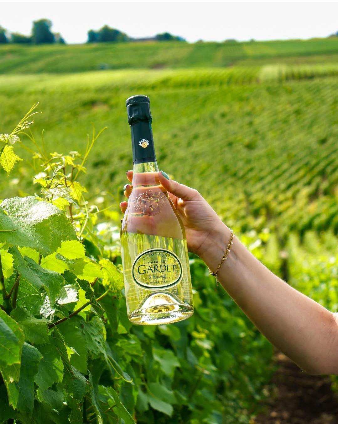 Champagner Gardet – Sommelier-Empfehlung für den Fachhandel